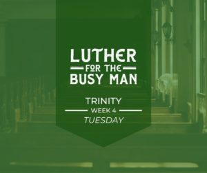 Trinity - Week 4 - Tuesday