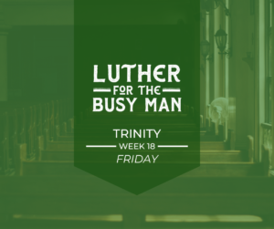 Trinity - Week 18 - Friday
