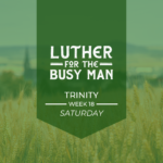 Luther For the Busy Man