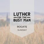 Luther For the Busy Man