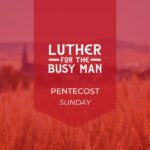 Luther For the Busy Man