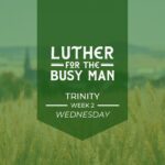 Luther For the Busy Man