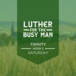 Luther For the Busy Man
